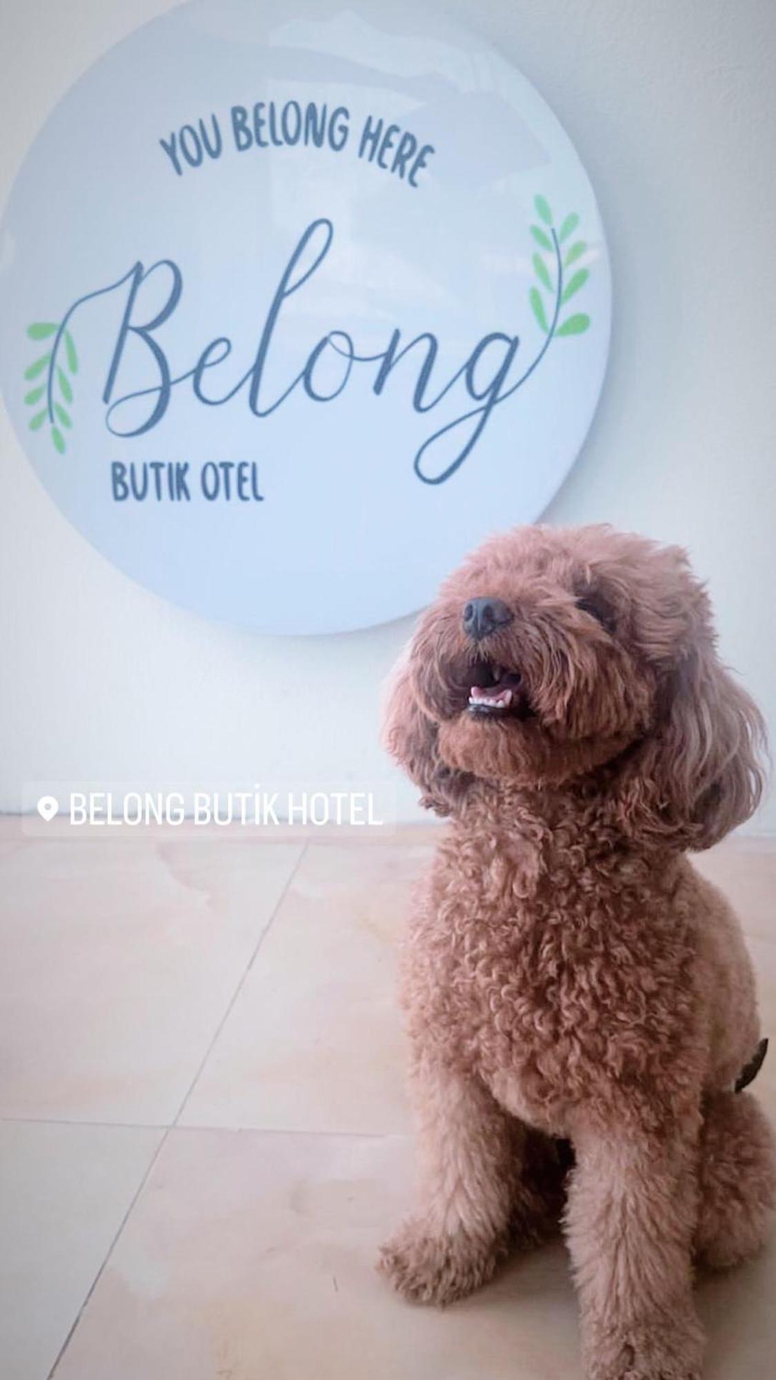 Belong Butik Otel Çeşme Kültér fotó