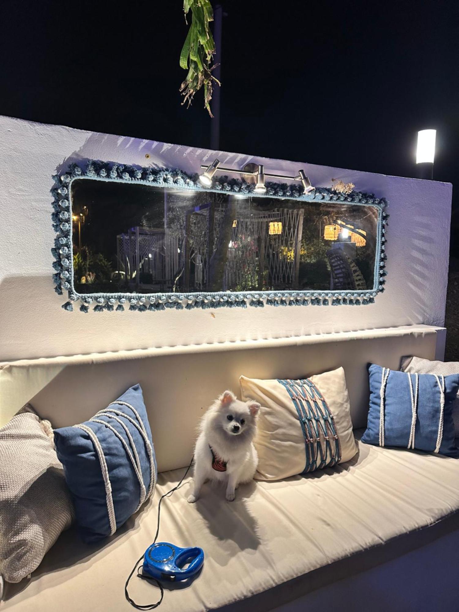 Belong Butik Otel Çeşme Kültér fotó